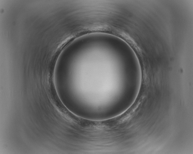 X0000073440201200607281225