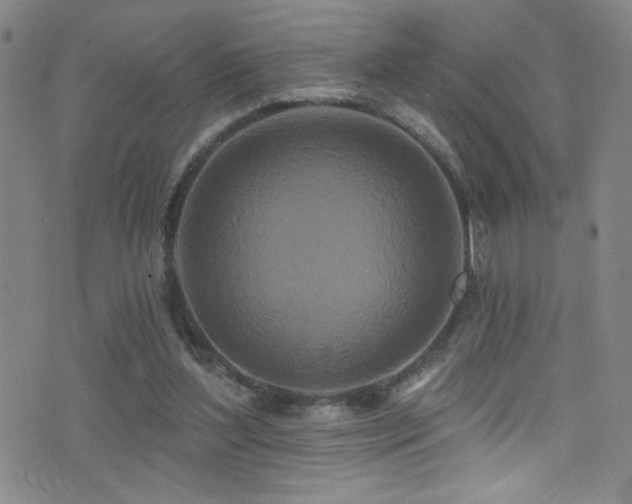 X0000073440204200607281225