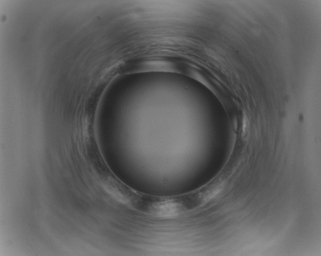 X0000073440219200607281224