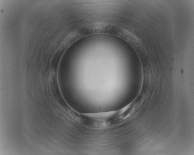 X0000073440225200607281224