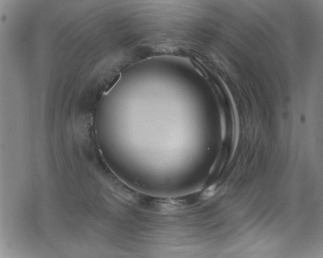 X0000073440229200607281224