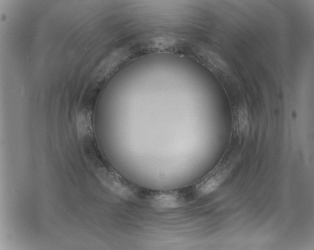 X0000073440236200607281224