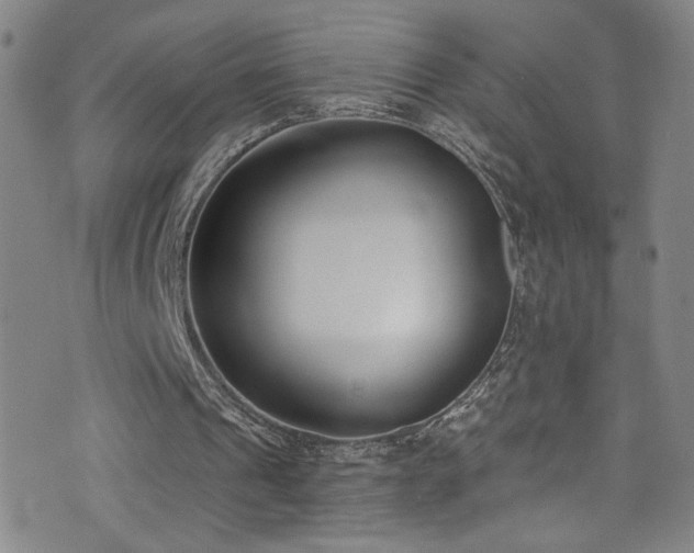 X0000073440241200607281223