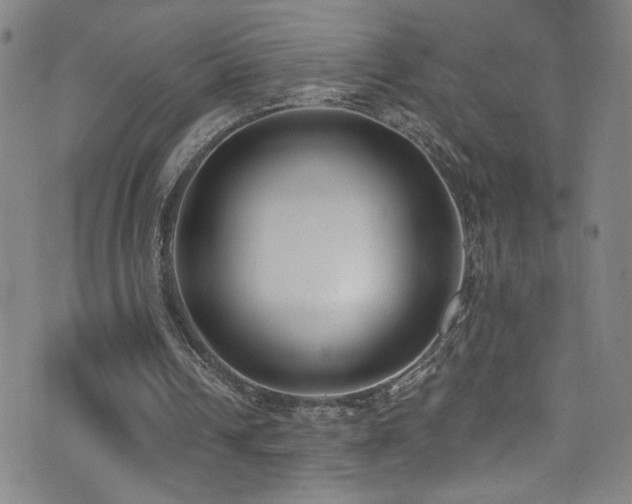 X0000073440242200607281223