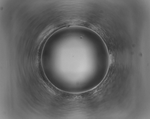 X0000073440243200607281223