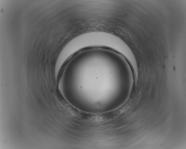 X0000073440276200607281224