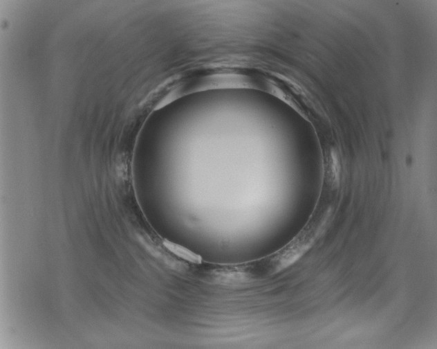 X0000073440284200607281224