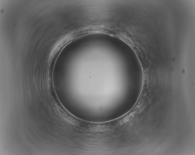 X0000073440293200607281223
