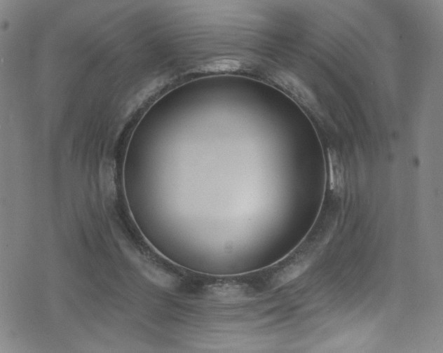 X0000073440300200607281223