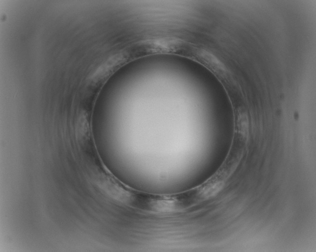 X0000073440318200607281223