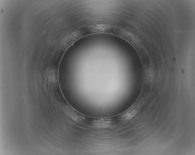 X0000073440331200607281223