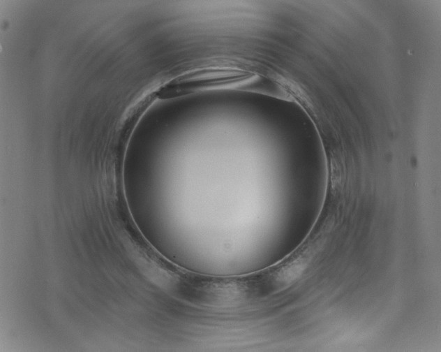 X0000073440349200607281222