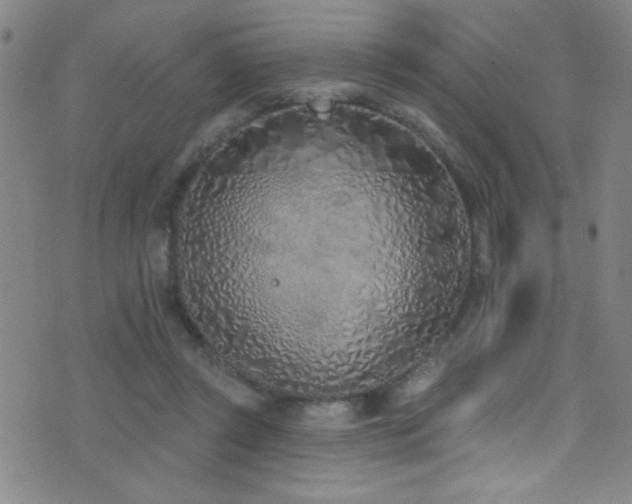X0000073440357200607281222