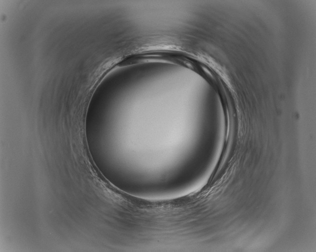 X0000073440385200607281222
