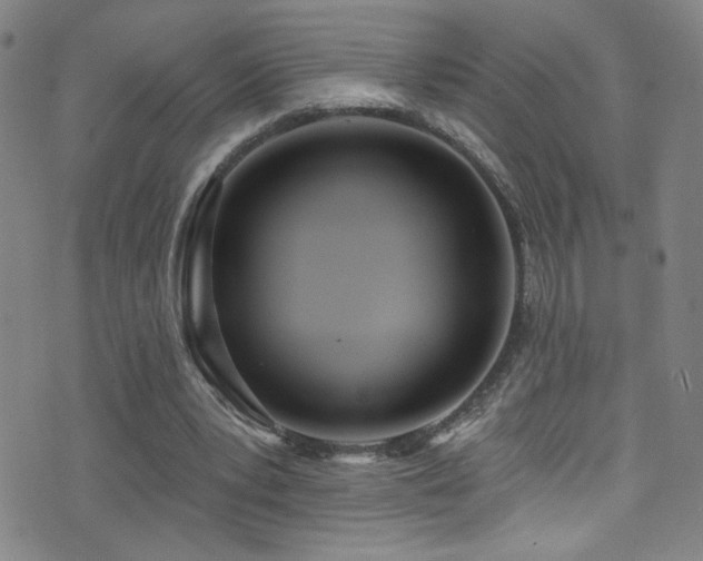 X0000073440391200607281222