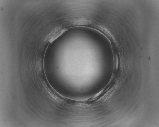 X0000073440393200607281222