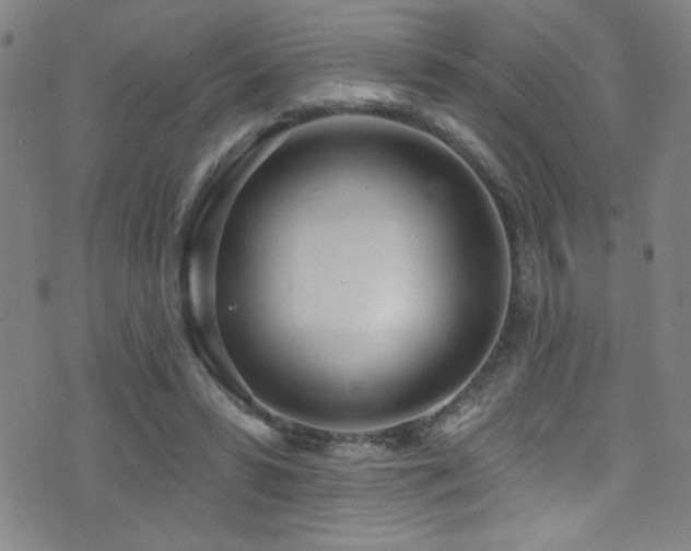 X0000073440399200607281221