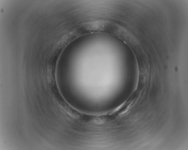 X0000073440416200607281221