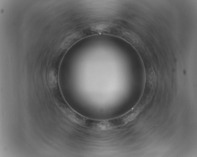 X0000073440420200607281221