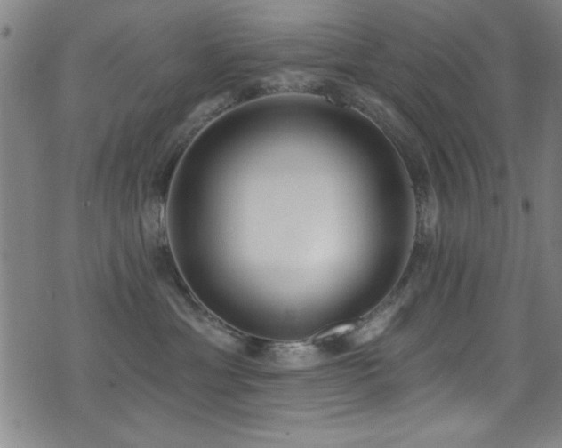 X0000073440429200607281221