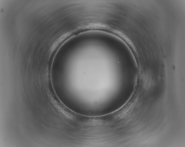X0000073440437200607281220