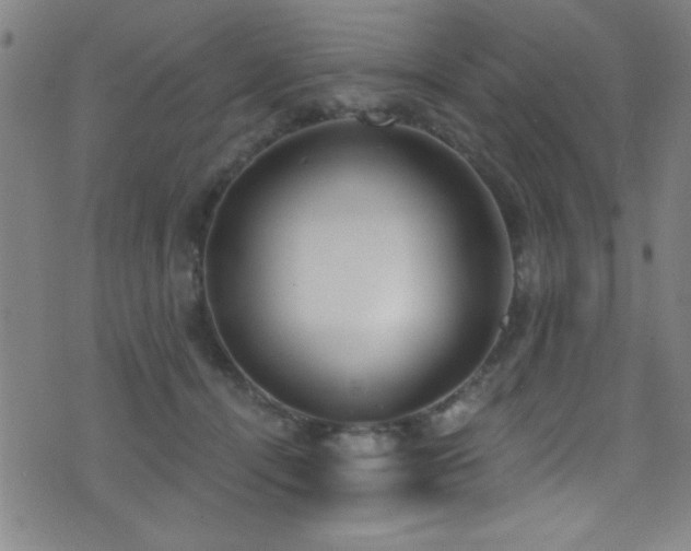 X0000073440464200607281221