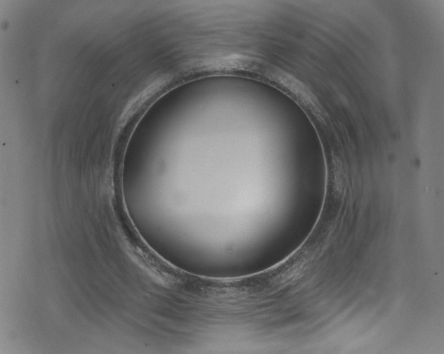 X0000073440486200607281220