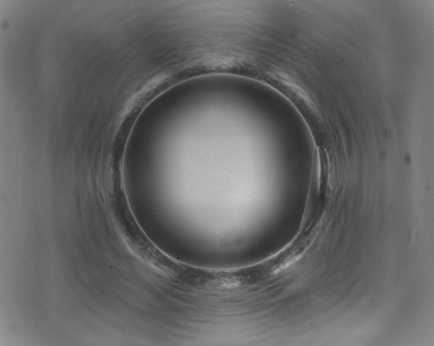 X0000073440492200607281220