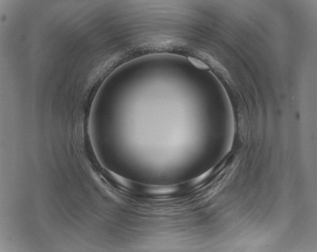X0000073440493200607281220