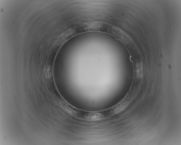 X0000073440514200607281220