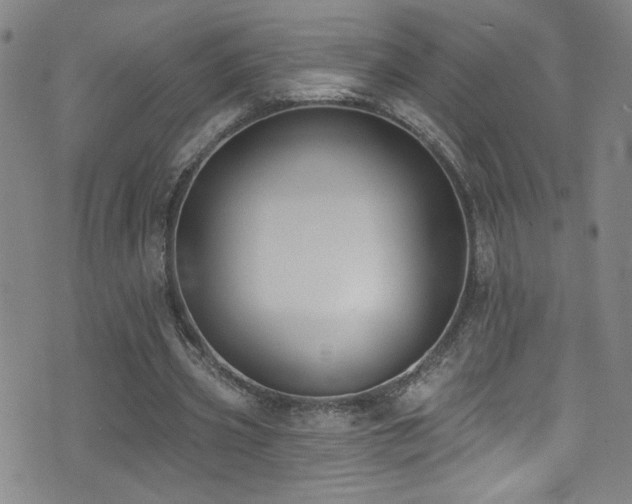 X0000073440533200607281219