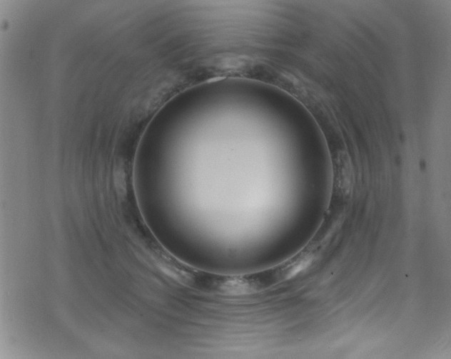X0000073440562200607281219