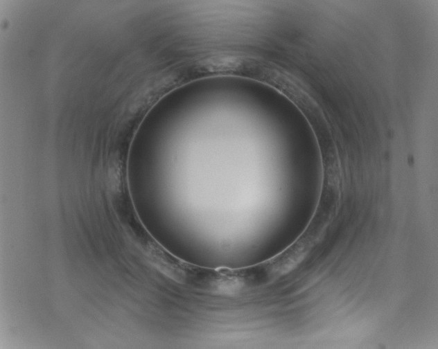 X0000073440604200607281218