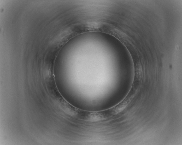 X0000073440608200607281218