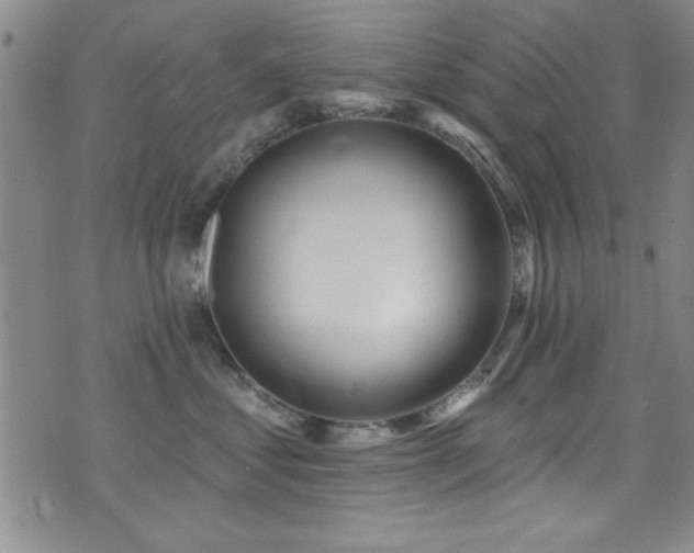 X0000073440621200607281218
