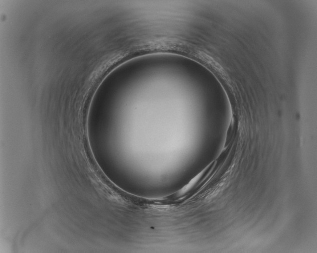 X0000073440673200607281217