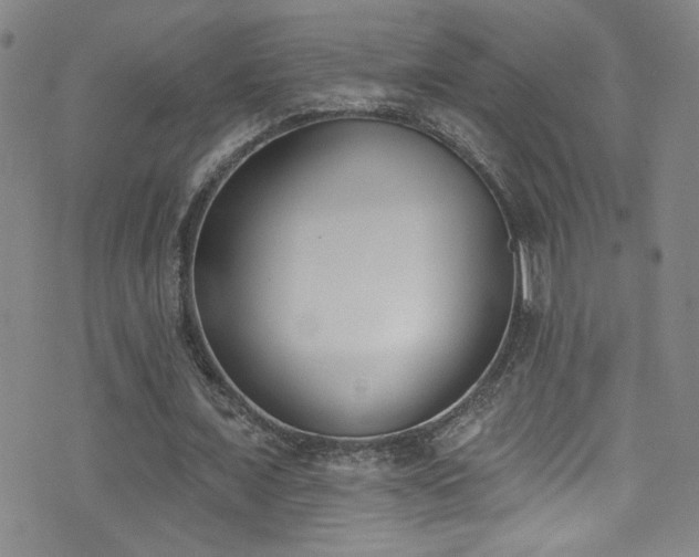 X0000073440675200607281217