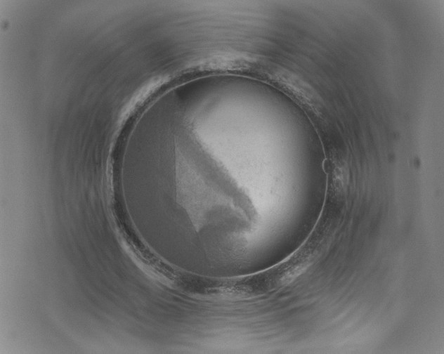 X0000073440678200607281217