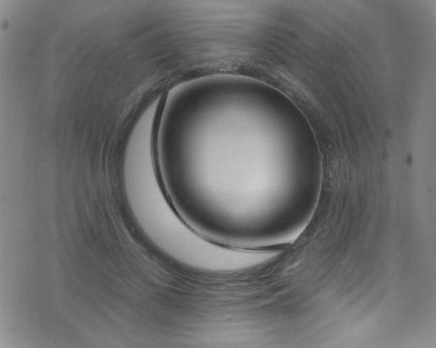 X0000073440693200607281217