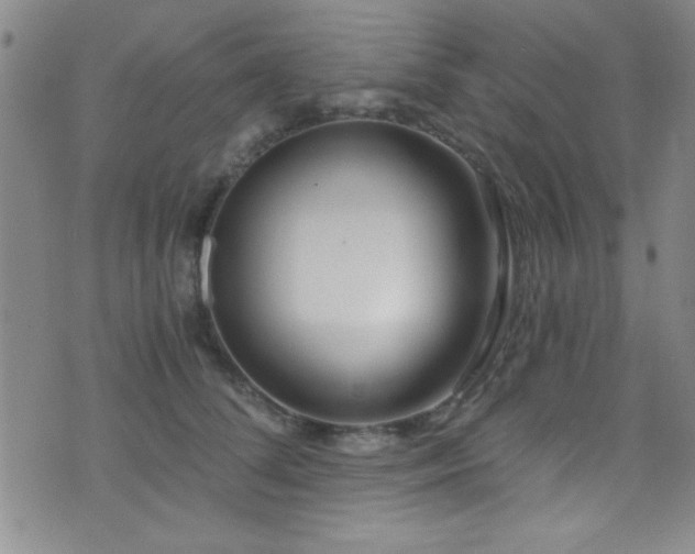 X0000073440708200607281216