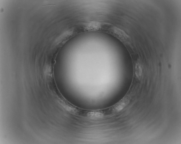 X0000073440714200607281216