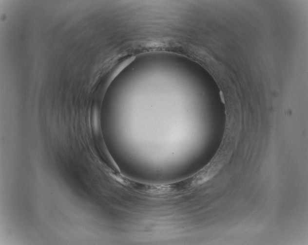 X0000073440720200607281216