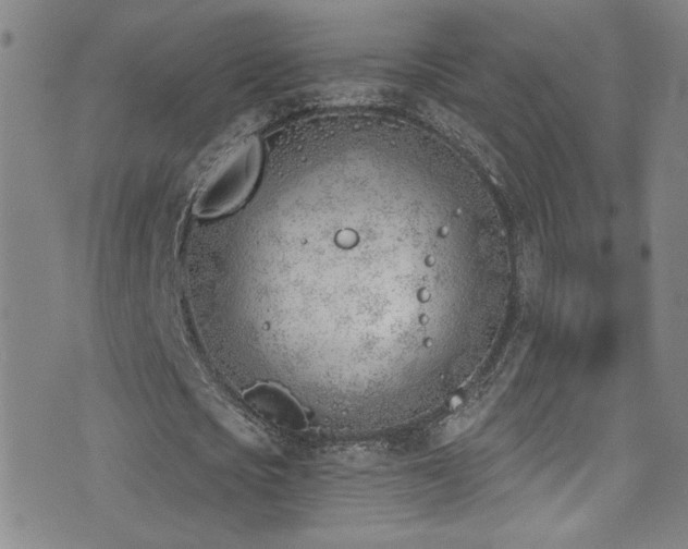 X0000073440721200607281215