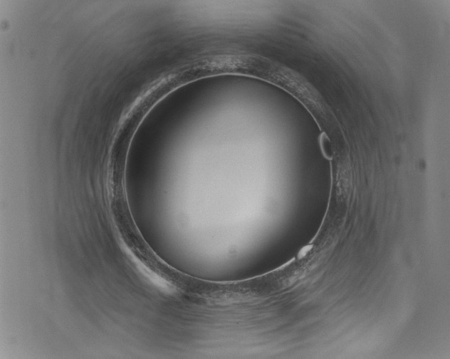 X0000073440722200607281215