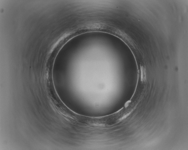 X0000073440723200607281215