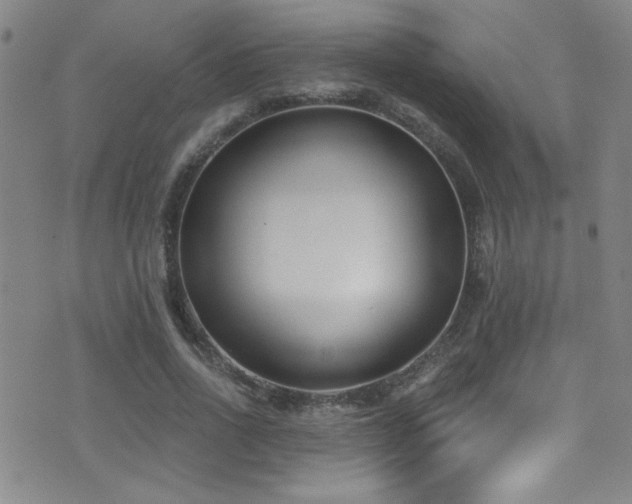 X0000073440734200607281216