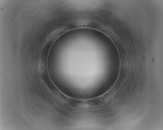 X0000073440743200607281216