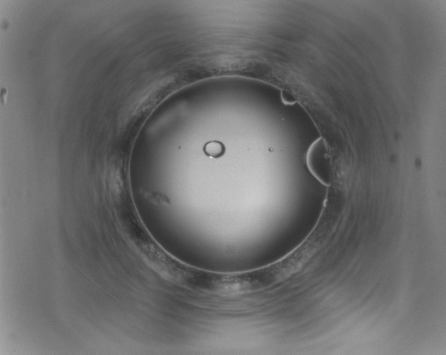 X0000073440746200607281216