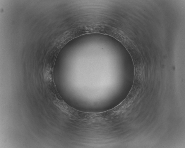 X0000073440770200607281215