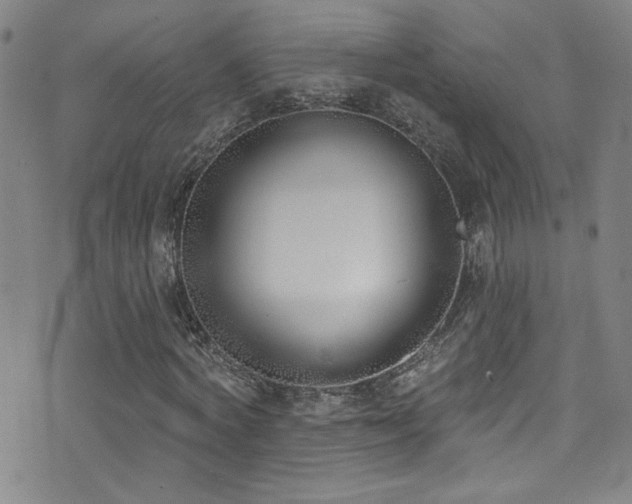 X0000073440772200607281215